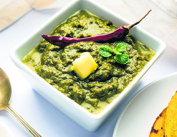 template by DevCRID http://www.devcrud.com/